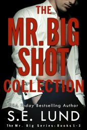 Icon image The Mr. Big Shot Collection