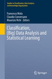 Icon image Classification, (Big) Data Analysis and Statistical Learning