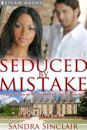 Icon image Seduced by Mistake - A Sensual Billionaire and Interracial BWWM Erotic Romance from Steam Books