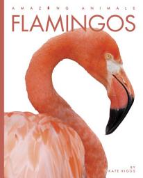 Icon image Flamingos