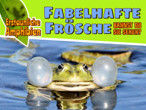 Icon image Fabelhafte Frösche: Kannst du sie sehen?