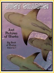 Icon image Just Sharks! vol. 1: Big Book of Shark Photographs & Pictures