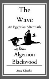 Icon image The Wave: An Egyptian Aftermath