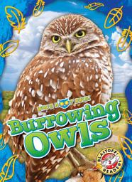 Icon image Burrowing Owls