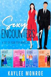 Icon image Sexy Encounters #1: A Set of 4 Sexy Novellas