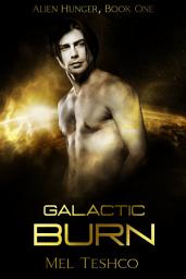 Icon image Galactic Burn