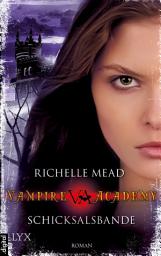 Icon image Vampire Academy - Schicksalsbande