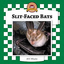 Icon image Slit-Faced Bats