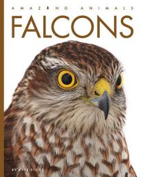 Icon image Falcons