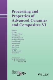 Icon image Processing and Properties of Advanced Ceramics and Composites VI