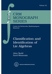 Icon image Classification and Identification of Lie Algebras