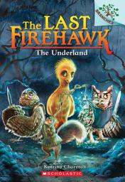 Icon image The Underland: A Branches Book (The Last Firehawk #11)