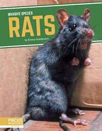 Icon image Rats