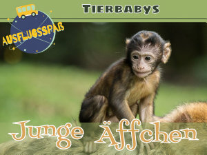 Icon image Tierbabys: Junge Äffchen