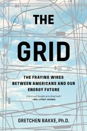 Icon image The Grid: The Fraying Wires Between Americans and Our Energy Future