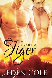 Icon image To Catch a Tiger: Gay Romance