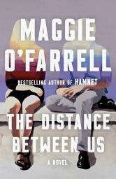 Icon image The Distance Between Us: A Novel