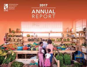 Icon image 2017 Annual report