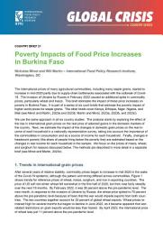 Icon image Poverty impacts of food price increases in Burkina Faso