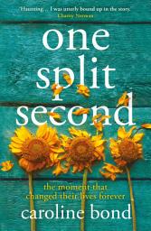 Icon image One Split Second: A thought-provoking novel about the limits of love and our astonishing capacity to heal