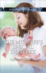 Icon image The Midwife's Special Delivery