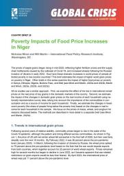 Icon image Poverty impacts of food price increases in Niger