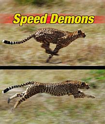 Icon image Speed Demons