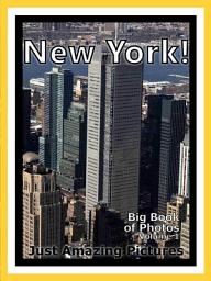 Icon image New York City! vol. 1: Big Book of New York City Photographs & Pictures