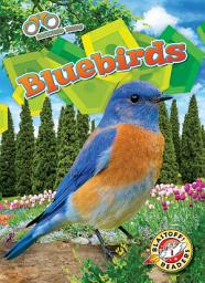 Icon image Bluebirds