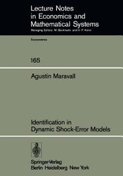 Icon image Identification in Dynamic Shock-Error Models