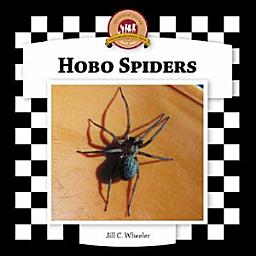 Icon image Hobo Spiders