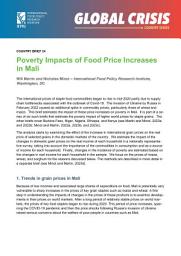 Icon image Poverty impacts of food price increases in Mali