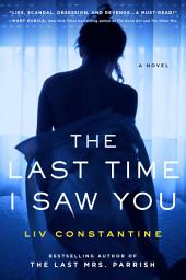 Icon image The Last Time I Saw You: A Novel