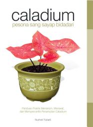 Icon image Caladium; Pesona sang Sayap Bidadari