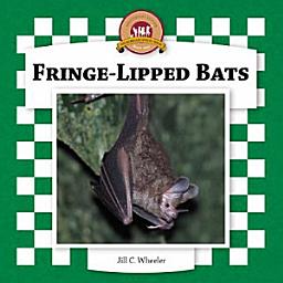 Icon image Fringe-Lipped Bats