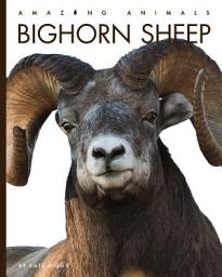 Icon image Bighorn Sheep