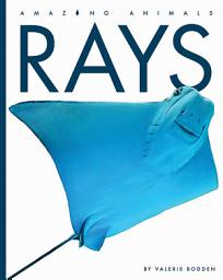 Icon image Rays