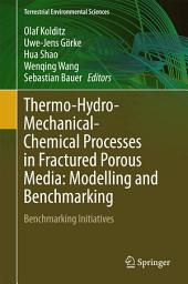 Icon image Thermo-Hydro-Mechanical-Chemical Processes in Fractured Porous Media: Modelling and Benchmarking: Benchmarking Initiatives