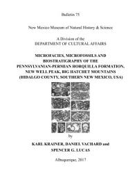 Icon image MICROFACIES, MICROFOSSILS AND BIOSTRATIGRAPHY OF THE PENNSYLVANIAN-PERMIAN HORQUILLA FORMATION, NEW WELL PEAK, BIG HATCHET MOUNTAINS (HIDALGO COUNTY, SOUTHERN NEW MEXICO, USA): Bulletin 75