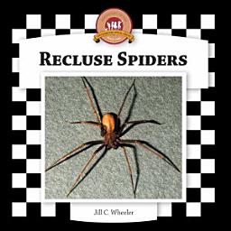 Icon image Recluse Spiders