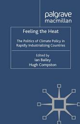 Icon image Feeling the Heat: The Politics of Climate Policy in Rapidly Industrializing Countries