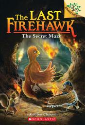 Icon image The Secret Maze: A Branches Book (The Last Firehawk #10)