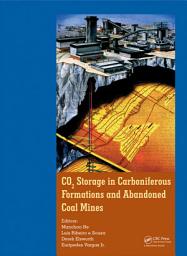 Icon image CO2 Storage in Carboniferous Formations and Abandoned Coal Mines