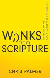 Icon image Winks from Scripture: Understanding God's Subtle Work Among Us